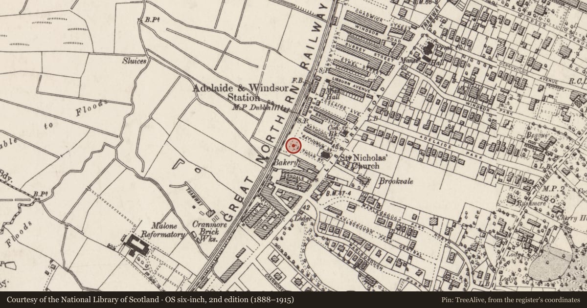 Ordnance Survey six-inch map, 2nd edition (1888–1915) covering the location of 36 Rathgar St., Belfast, with a pin at the register's coordinates