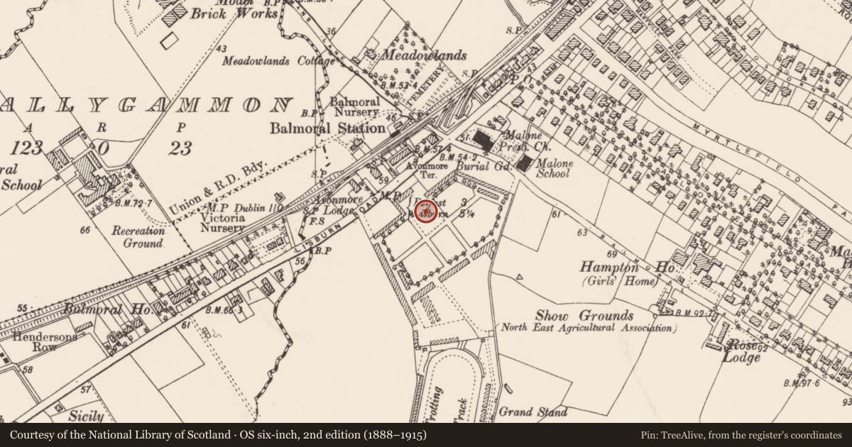 Ordnance Survey six-inch map, 2nd edition (1888–1915) covering the location of The King'S Hall, Belfast, with a pin at the register's coordinates