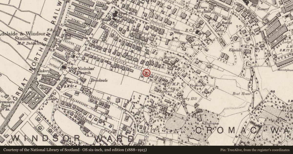 Ordnance Survey six-inch map, 2nd edition (1888–1915) covering the location of 37 Adelaide Park, Belfast, with a pin at the register's coordinates