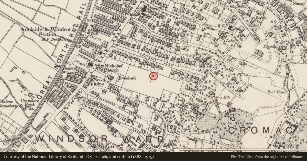 Ordnance Survey six-inch map, 2nd edition (1888–1915) covering the location of 28 Cadogan Park, Belfast, with a pin at the register's coordinates