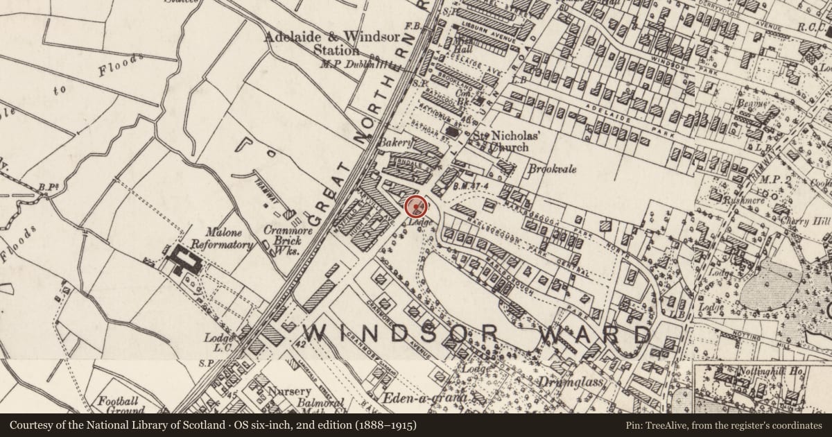 Ordnance Survey six-inch map, 2nd edition (1888–1915) covering the location of 350 Lisburn Road, Belfast, with a pin at the register's coordinates