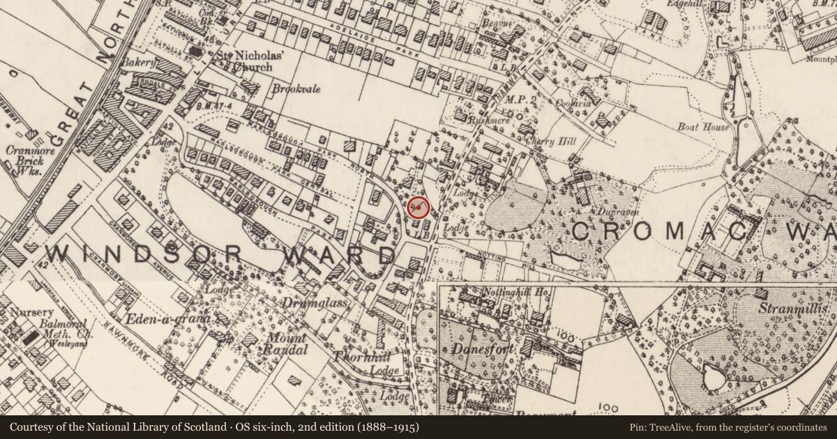 Ordnance Survey six-inch map, 2nd edition (1888–1915) covering the location of Tyrone House, with a pin at the register's coordinates