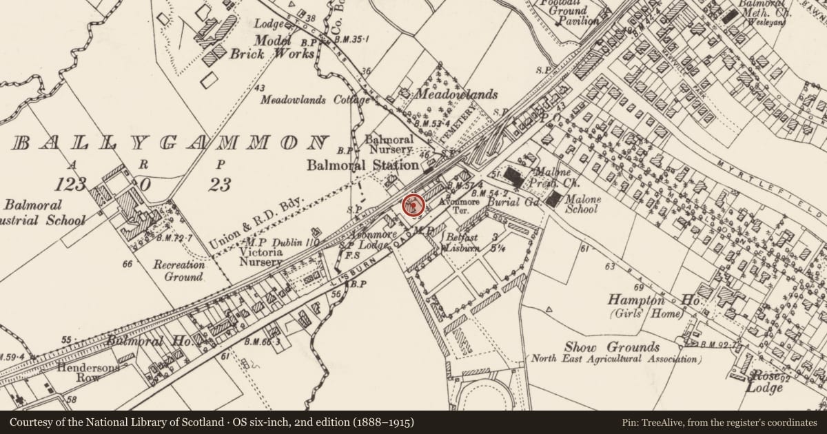 Ordnance Survey six-inch map, 2nd edition (1888–1915) covering the location of The Kings Head, with a pin at the register's coordinates