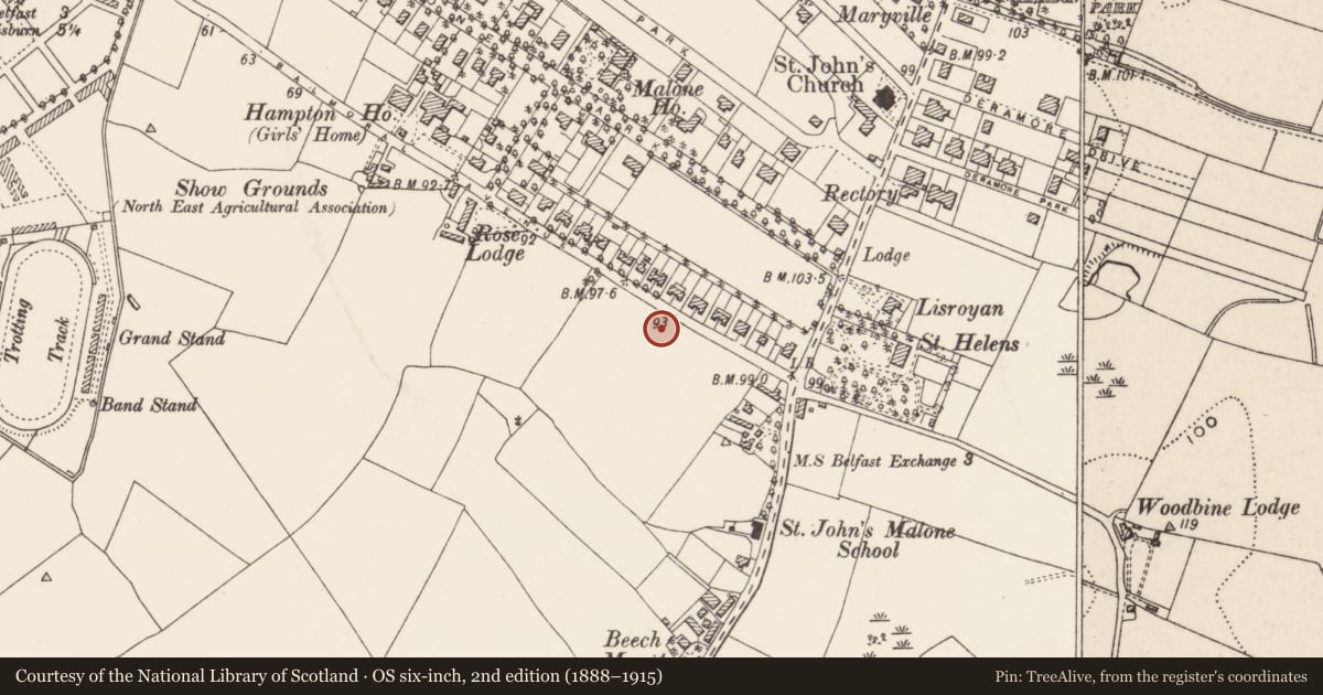 Ordnance Survey six-inch map, 2nd edition (1888–1915) covering the location of 85 Balmoral Avenue, Belfast, with a pin at the register's coordinates