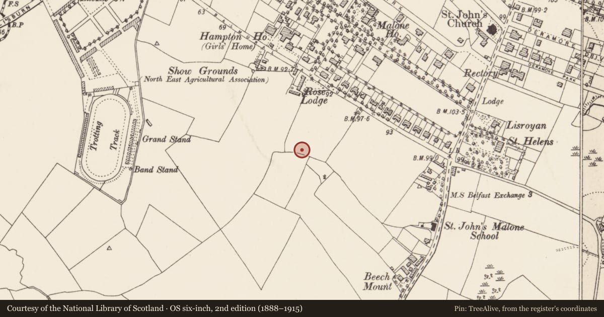 Ordnance Survey six-inch map, 2nd edition (1888–1915) covering the location of Street Sign at Strangford Avenue on corner with Shrewsbury Park, Belfast, Malone Upper, Belfast, with a pin at the register's coordinates
