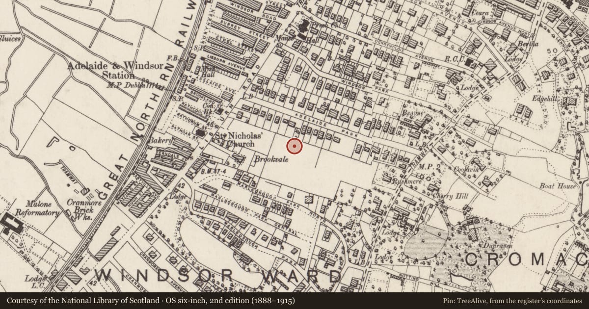 Ordnance Survey six-inch map, 2nd edition (1888–1915) covering the location of 22a Cadogan Park, Malone Lower, Belfast, with a pin at the register's coordinates
