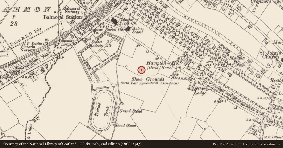 Ordnance Survey six-inch map, 2nd edition (1888–1915) covering the location of 11 Harberton Drive Belfast, with a pin at the register's coordinates