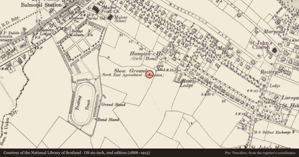 Ordnance Survey six-inch map, 2nd edition (1888–1915) covering the location of 8 Harberton Avenue Belfast, with a pin at the register's coordinates
