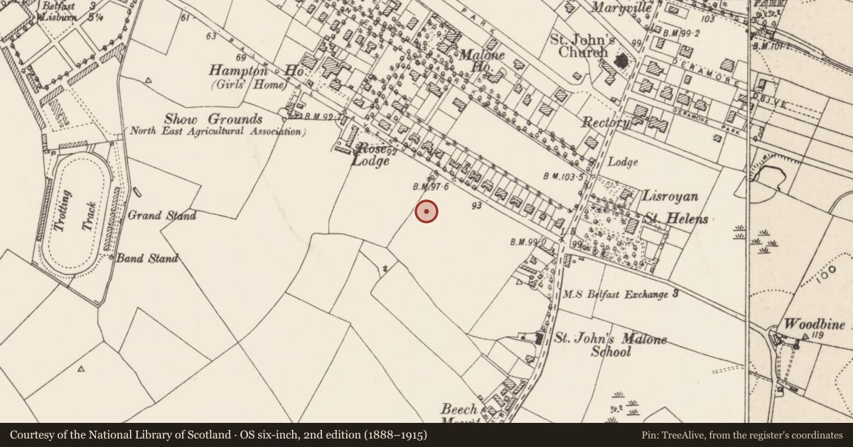 Ordnance Survey six-inch map, 2nd edition (1888–1915) covering the location of The White Lodge, with a pin at the register's coordinates