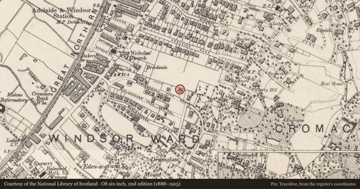 Ordnance Survey six-inch map, 2nd edition (1888–1915) covering the location of 82 & 84 Marlborough Park North Belfast, with a pin at the register's coordinates