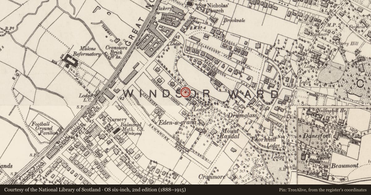 Ordnance Survey six-inch map, 2nd edition (1888–1915) covering the location of 25 Cranmore Park Belfast, with a pin at the register's coordinates
