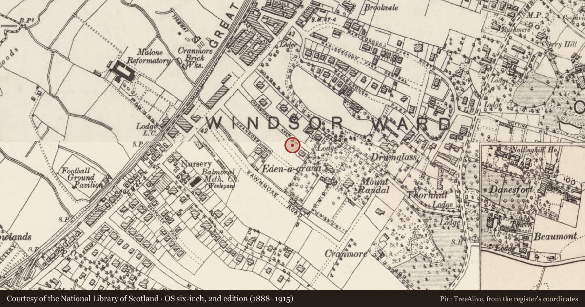 Ordnance Survey six-inch map, 2nd edition (1888–1915) covering the location of 29 Cranmore Avenue, with a pin at the register's coordinates