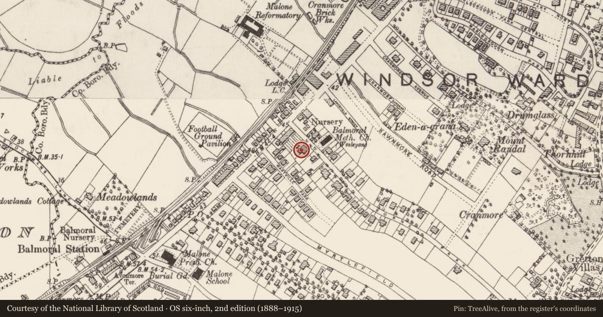 Ordnance Survey six-inch map, 2nd edition (1888–1915) covering the location of 11 & 13 Osborne Park Belfast, with a pin at the register's coordinates