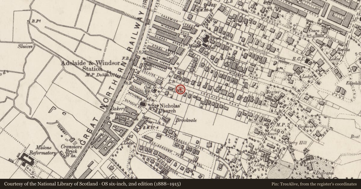 Ordnance Survey six-inch map, 2nd edition (1888–1915) covering the location of 3 Adelaide Park Belfast, with a pin at the register's coordinates