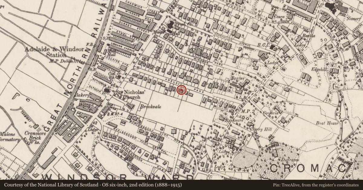 Ordnance Survey six-inch map, 2nd edition (1888–1915) covering the location of 19 Adelaide Park Belfast, with a pin at the register's coordinates