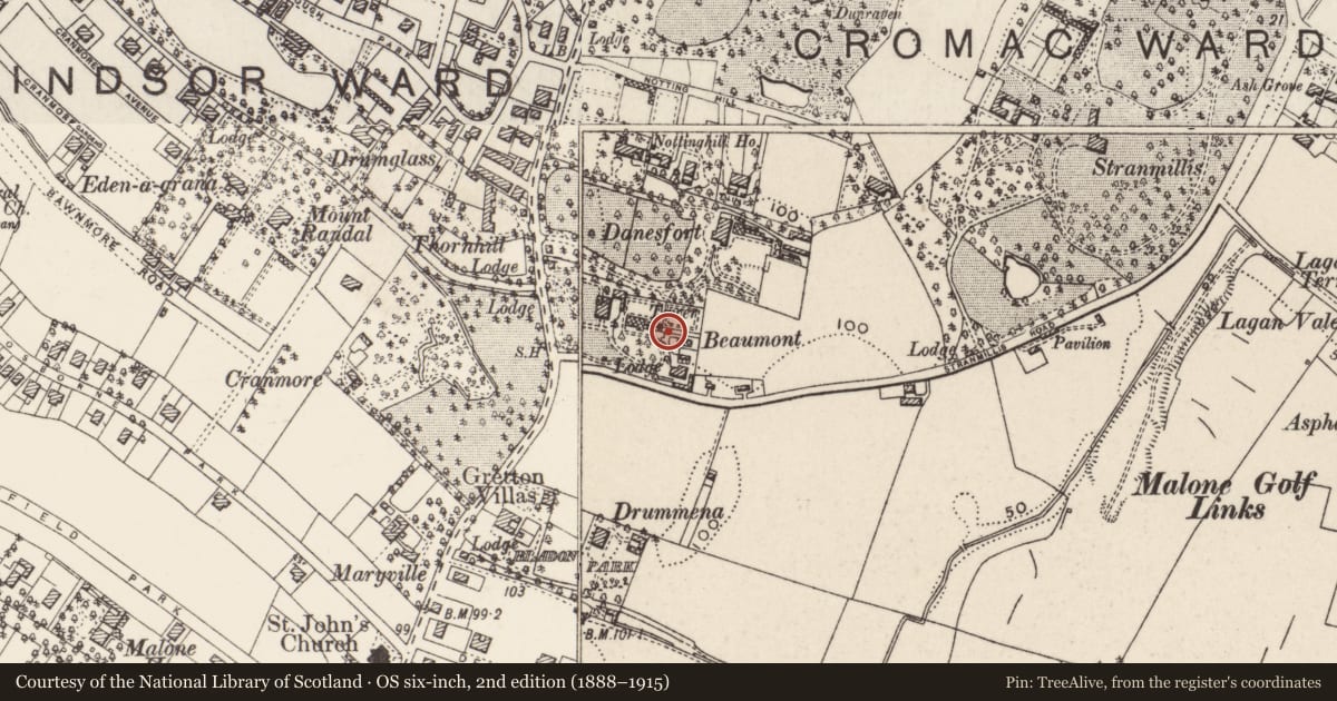 Ordnance Survey six-inch map, 2nd edition (1888–1915) covering the location of 16 Maryville Park Belfast, with a pin at the register's coordinates