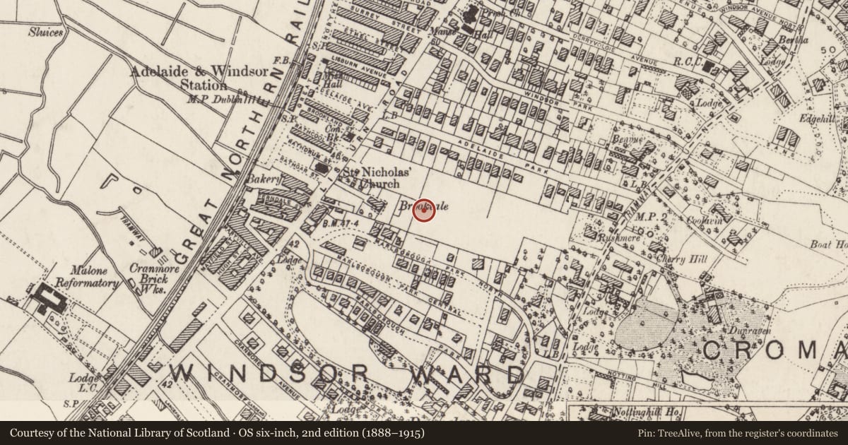 Ordnance Survey six-inch map, 2nd edition (1888–1915) covering the location of 13 Cadogan Park Belfast, with a pin at the register's coordinates