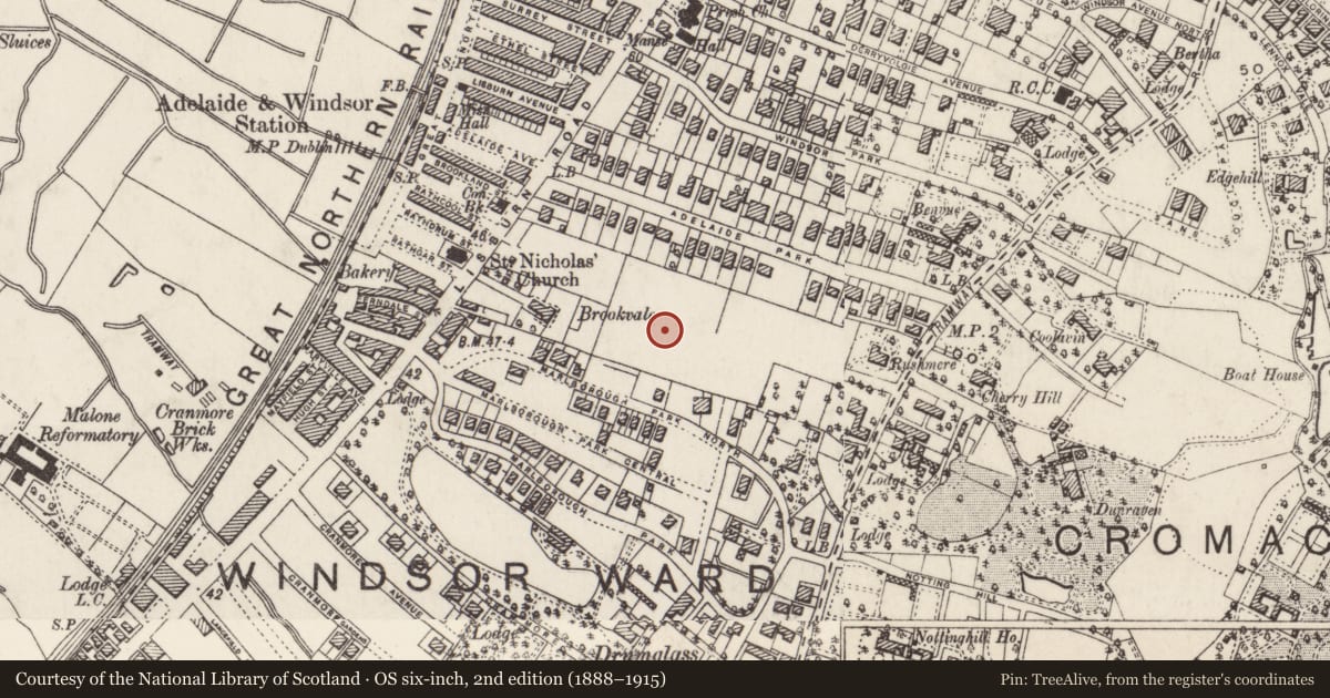 Ordnance Survey six-inch map, 2nd edition (1888–1915) covering the location of 19 Cadogan Park Belfast, with a pin at the register's coordinates