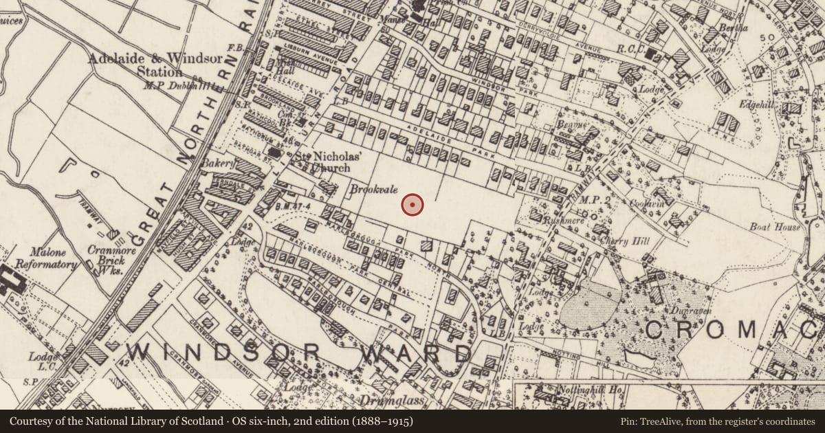 Ordnance Survey six-inch map, 2nd edition (1888–1915) covering the location of 21 Cadogan Park ("Redroofs") Belfast, with a pin at the register's coordinates