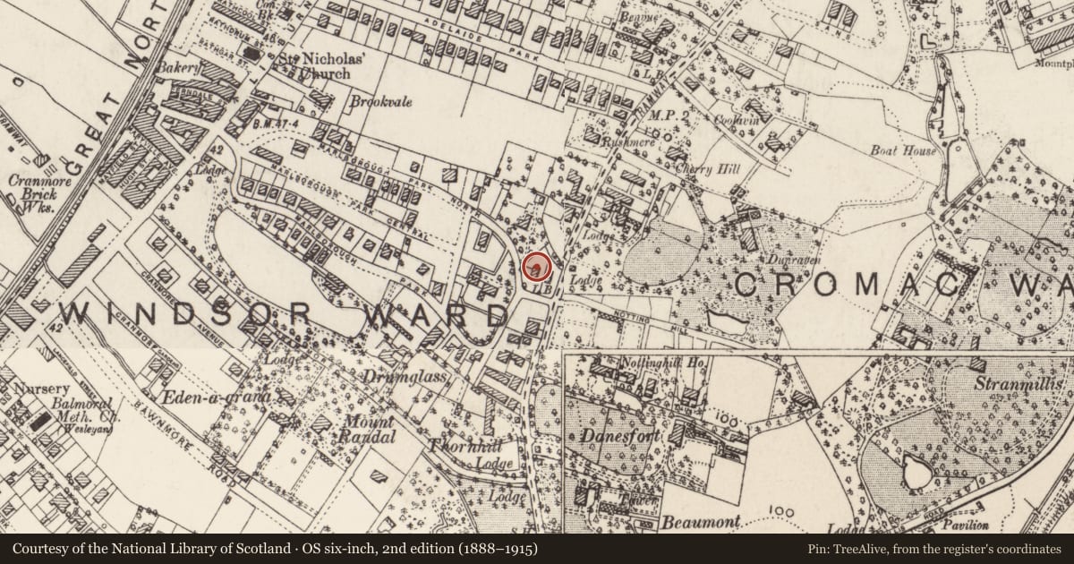 Ordnance Survey six-inch map, 2nd edition (1888–1915) covering the location of Maxwell Centre Victoria College Marlborough Park North Belfast, with a pin at the register's coordinates