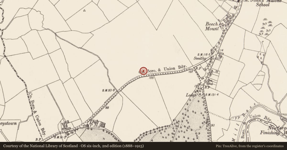 Ordnance Survey six-inch map, 2nd edition (1888–1915) covering the location of Street Sign at Haberton Park on corner with Upper Malone Road, Belfast, Malone Upper, Belfast, with a pin at the register's coordinates