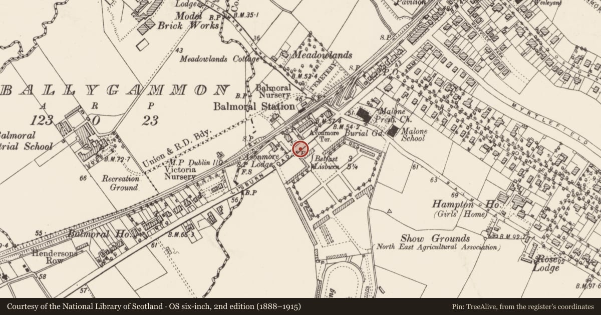 Ordnance Survey six-inch map, 2nd edition (1888–1915) covering the location of Post Box, Malone Upper, Belfast, with a pin at the register's coordinates