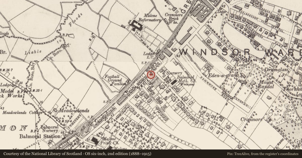 Ordnance Survey six-inch map, 2nd edition (1888–1915) covering the location of Post Box, Malone Lower, Belfast, with a pin at the register's coordinates