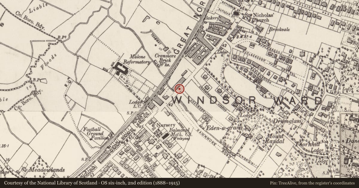 Ordnance Survey six-inch map, 2nd edition (1888–1915) covering the location of Post Box, Malone Lower, Belfast, with a pin at the register's coordinates