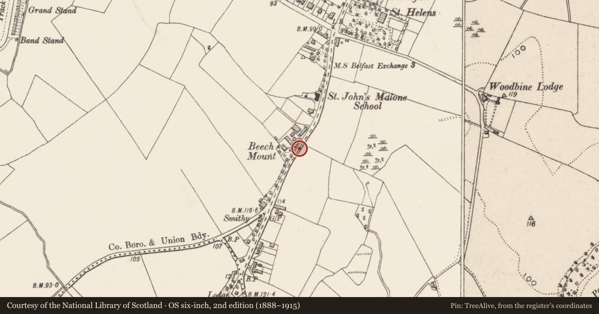 Ordnance Survey six-inch map, 2nd edition (1888–1915) covering the location of Post Box, Malone Upper, Belfast, with a pin at the register's coordinates