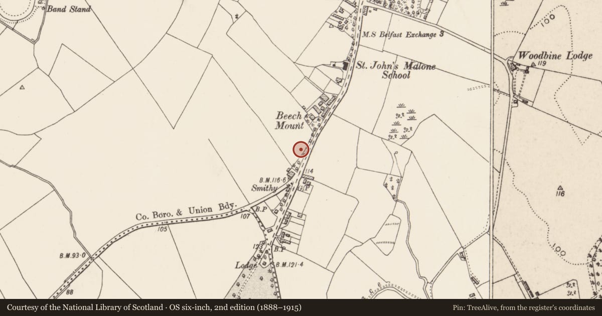 Ordnance Survey six-inch map, 2nd edition (1888–1915) covering the location of 2 Malone Hill Park, Belfast BT9 6RD, Malone Upper, with a pin at the register's coordinates