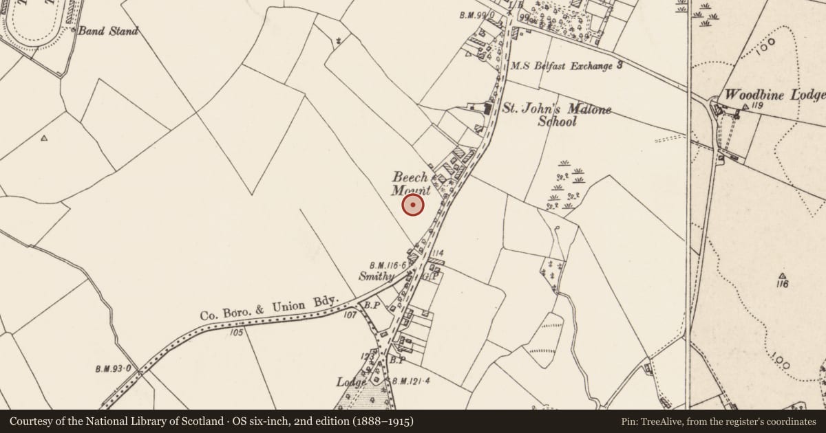 Ordnance Survey six-inch map, 2nd edition (1888–1915) covering the location of 6 Malone Hill Park, Belfast, Malone Upper, with a pin at the register's coordinates