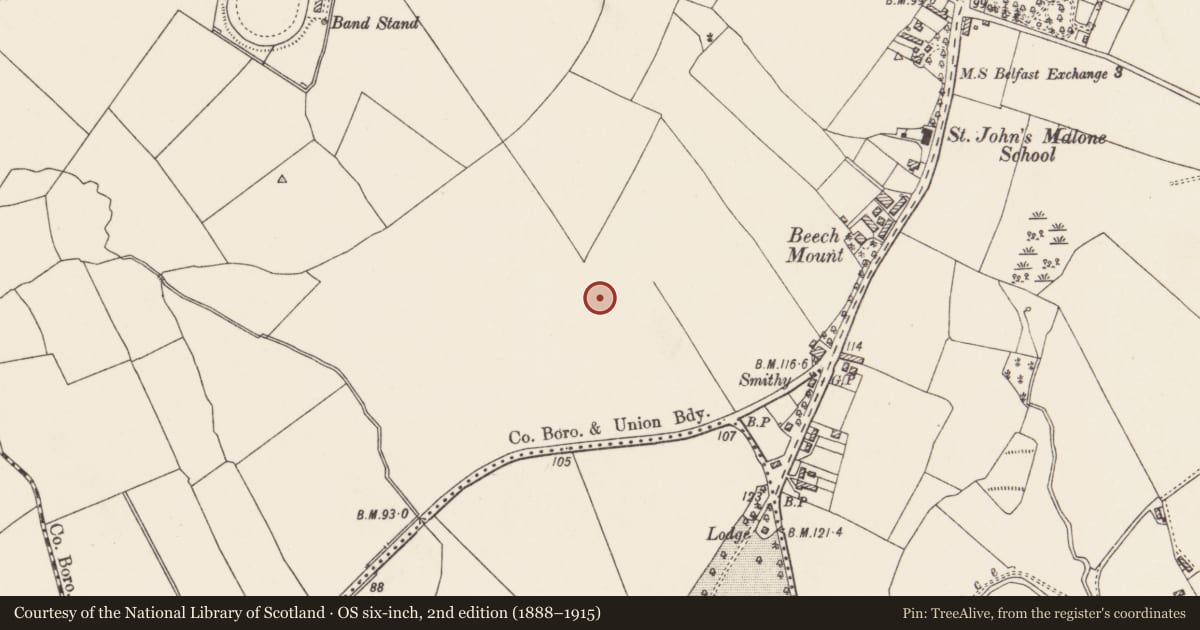 Ordnance Survey six-inch map, 2nd edition (1888–1915) covering the location of 18 Cambourne Park Belfast, with a pin at the register's coordinates