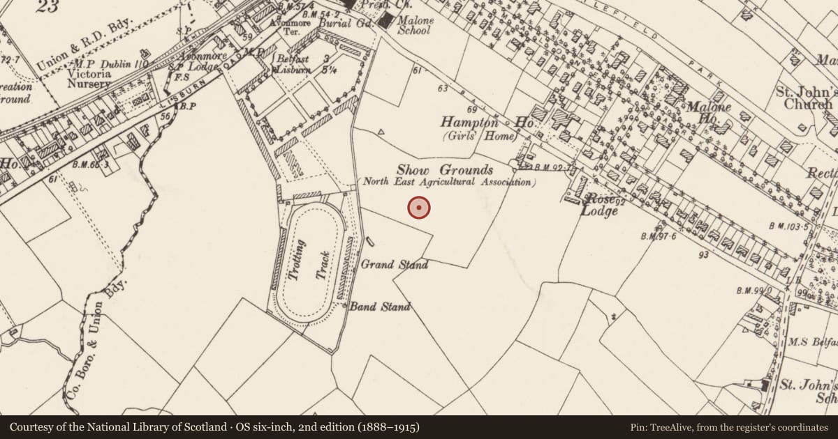 Ordnance Survey six-inch map, 2nd edition (1888–1915) covering the location of 25 Harberton Drive Belfast, with a pin at the register's coordinates