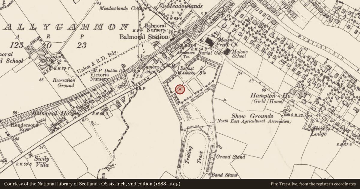 Ordnance Survey six-inch map, 2nd edition (1888–1915) covering the location of Other structures at King's Hall Complex Lisburn Road Balmoral Belfast BT9 6GW, with a pin at the register's coordinates