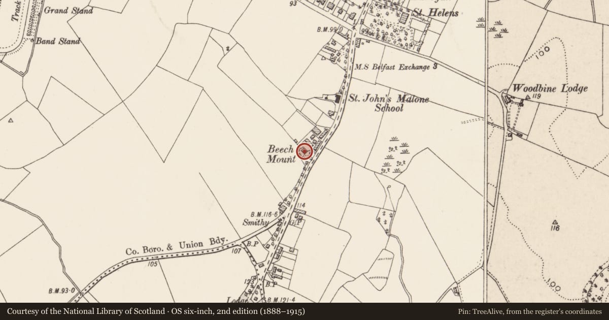 Ordnance Survey six-inch map, 2nd edition (1888–1915) covering the location of "Beechmount", with a pin at the register's coordinates