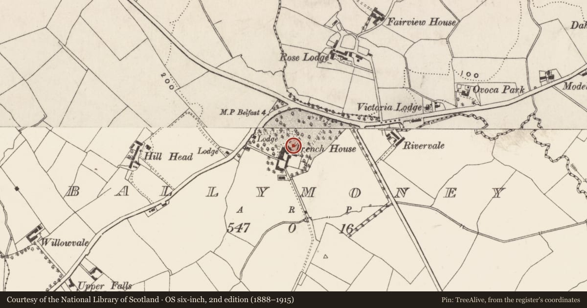 Ordnance Survey six-inch map, 2nd edition (1888–1915) covering the location of Trench House, Belfast, with a pin at the register's coordinates
