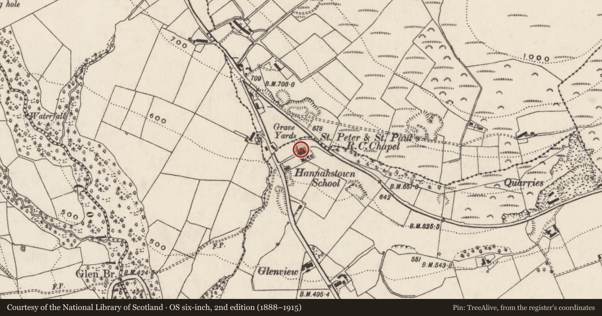 Ordnance Survey six-inch map, 2nd edition (1888–1915) covering the location of St Josephs Church, Englishtown, Belfast, with a pin at the register's coordinates