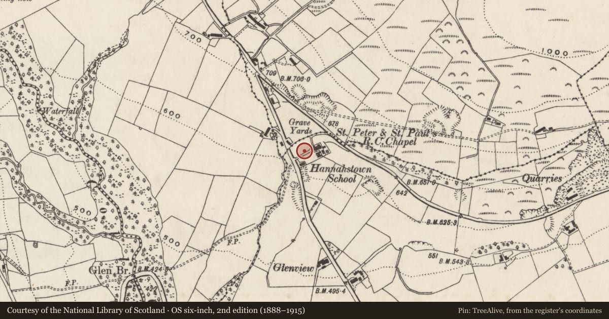 Ordnance Survey six-inch map, 2nd edition (1888–1915) covering the location of Hamill Vault, Englishtown, Belfast, with a pin at the register's coordinates