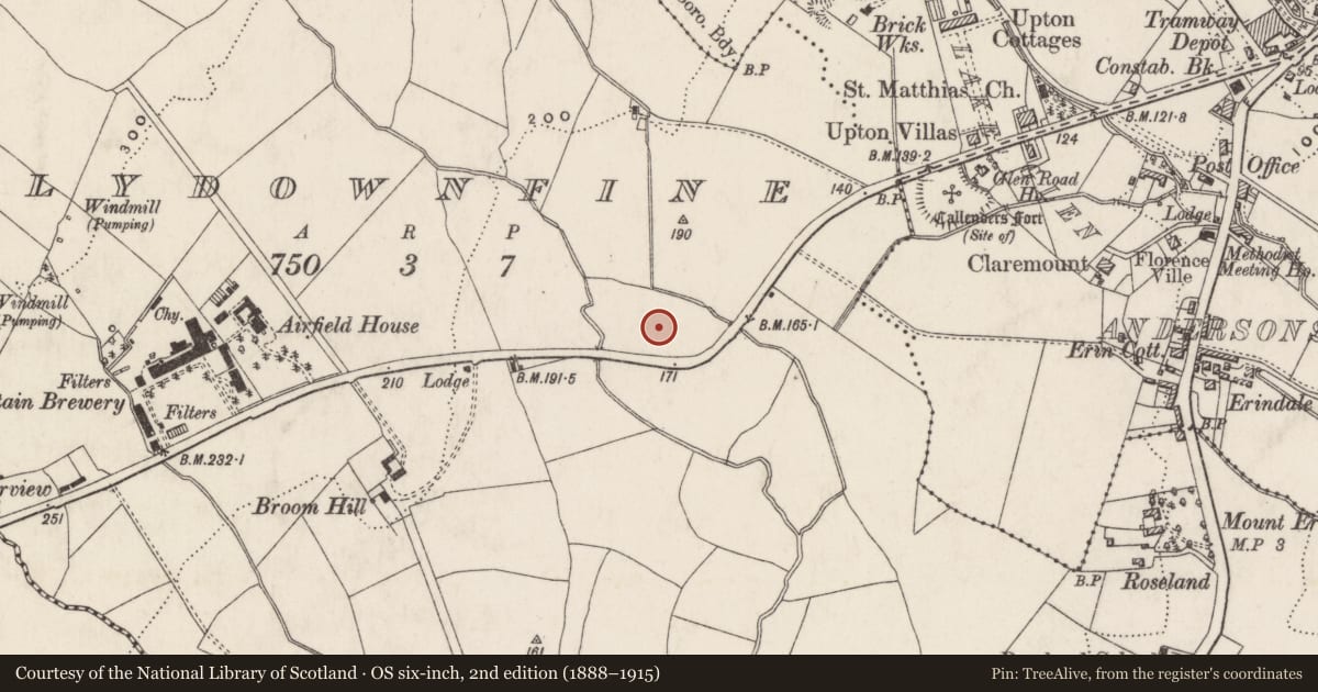 Ordnance Survey six-inch map, 2nd edition (1888–1915) covering the location of St Theresa's Roman Catholic Church, Ballydownfine, Belfast, with a pin at the register's coordinates