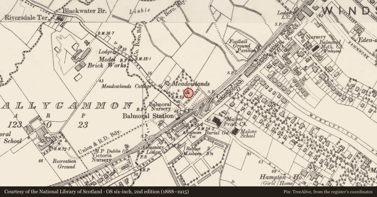 Ordnance Survey six-inch map, 2nd edition (1888–1915) covering the location of Cooke Memorial, Malone Lower, Belfast, with a pin at the register's coordinates