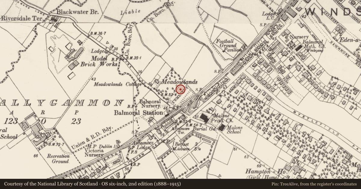 Ordnance Survey six-inch map, 2nd edition (1888–1915) covering the location of Ferguson Memorial, Malone Lower, Belfast, with a pin at the register's coordinates