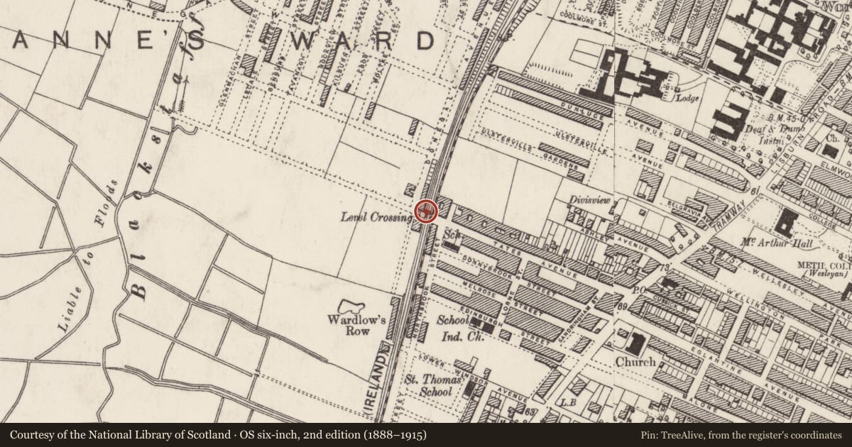 Ordnance Survey six-inch map, 2nd edition (1888–1915) covering the location of Tate's Avenue Bridge, Belfast, Co Antrim, Belfast, with a pin at the register's coordinates
