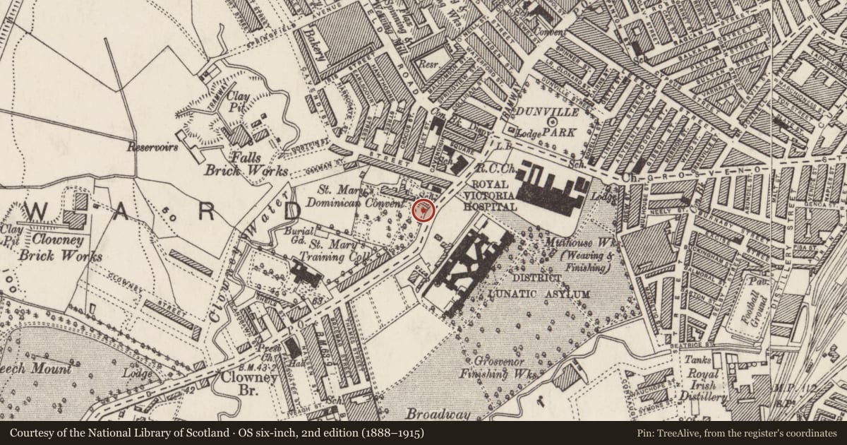 Ordnance Survey six-inch map, 2nd edition (1888–1915) covering the location of Dominican Convent, Town Parks, Belfast, with a pin at the register's coordinates