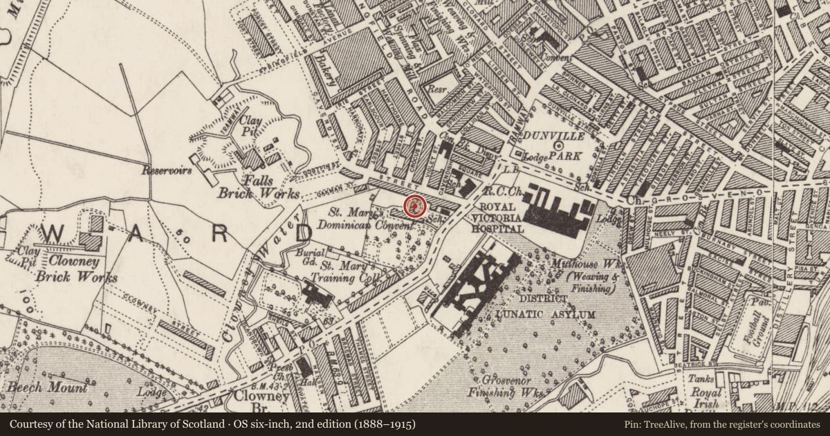 Ordnance Survey six-inch map, 2nd edition (1888–1915) covering the location of Dominican Convent Chapel, Town Parks, Belfast, with a pin at the register's coordinates