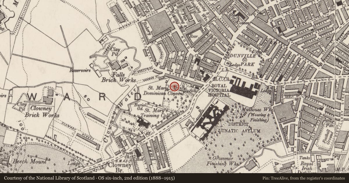 Ordnance Survey six-inch map, 2nd edition (1888–1915) covering the location of St Dominic's Grammar School for Girls, Belfast, with a pin at the register's coordinates