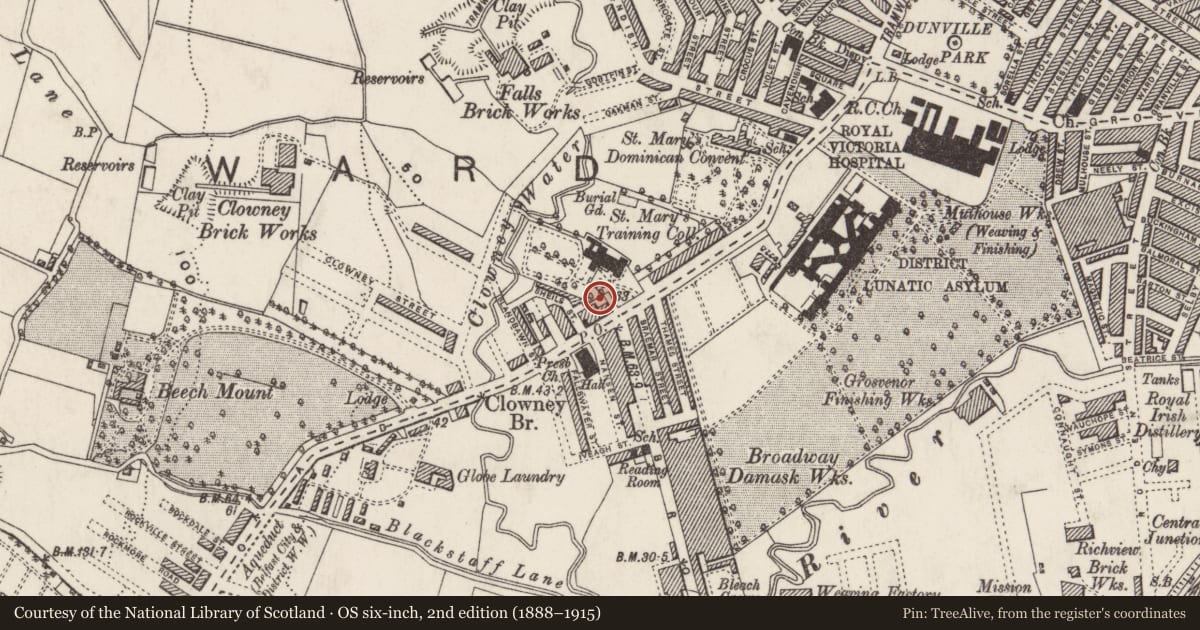 Ordnance Survey six-inch map, 2nd edition (1888–1915) covering the location of The Beehive Bar, Town Parks, Belfast, with a pin at the register's coordinates