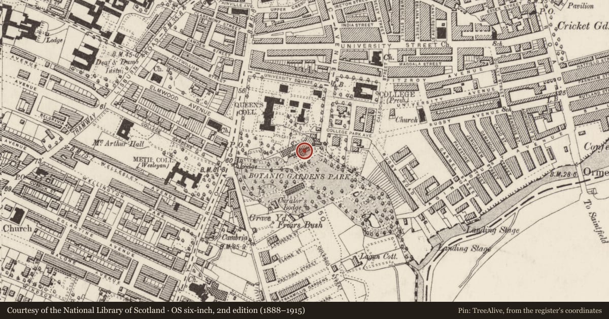Ordnance Survey six-inch map, 2nd edition (1888–1915) covering the location of The Palm House, Belfast, with a pin at the register's coordinates