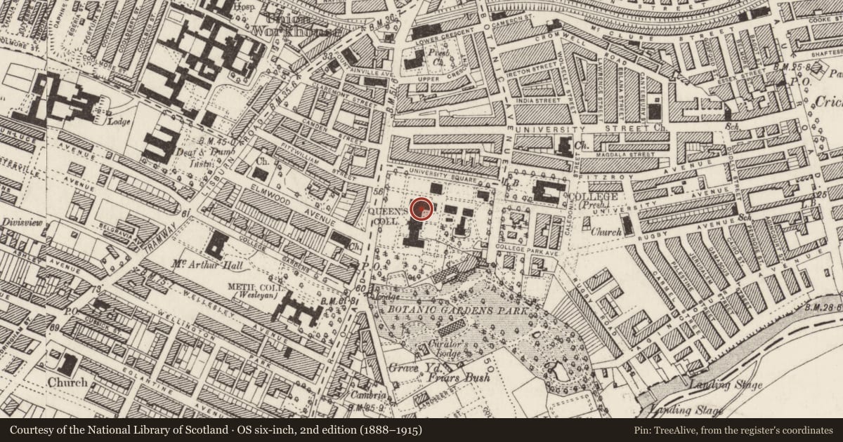 Ordnance Survey six-inch map, 2nd edition (1888–1915) covering the location of Main Front Block Lanyon Building, Great Hall, Physics Department, Lanyon building tower, Belfast, with a pin at the register's coordinates