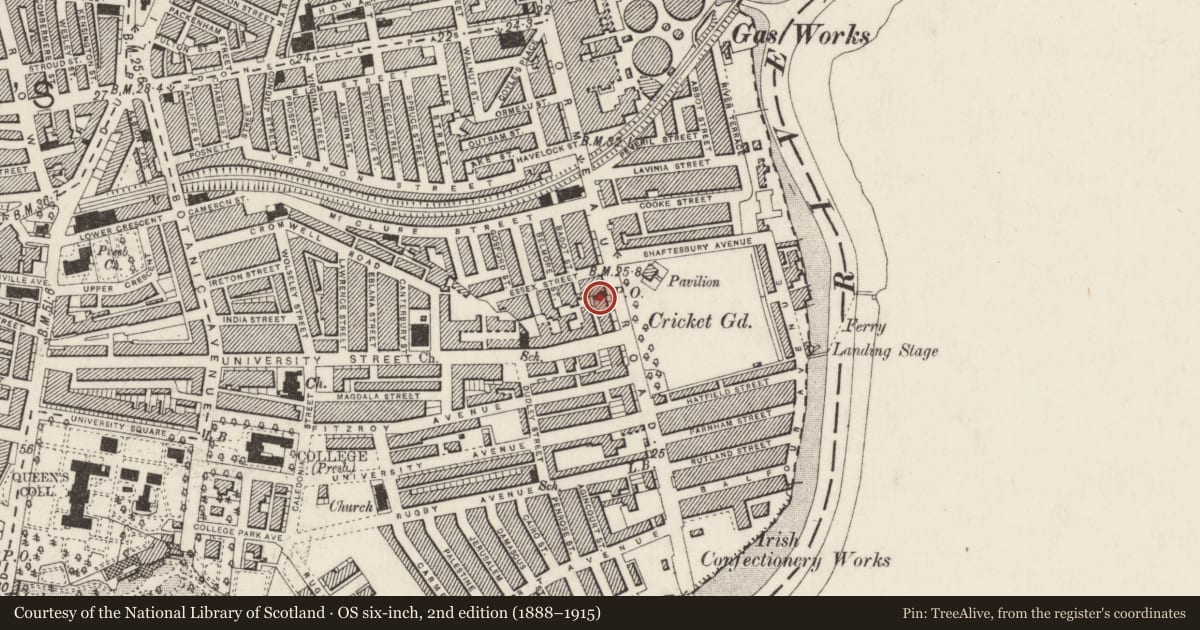 Ordnance Survey six-inch map, 2nd edition (1888–1915) covering the location of 123 Ormeau Road, Belfast, with a pin at the register's coordinates