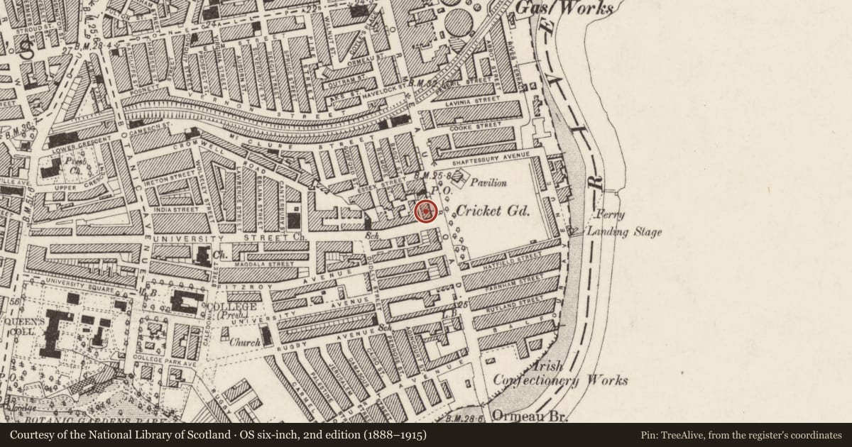 Ordnance Survey six-inch map, 2nd edition (1888–1915) covering the location of 133 Ormeau Road, Belfast, with a pin at the register's coordinates
